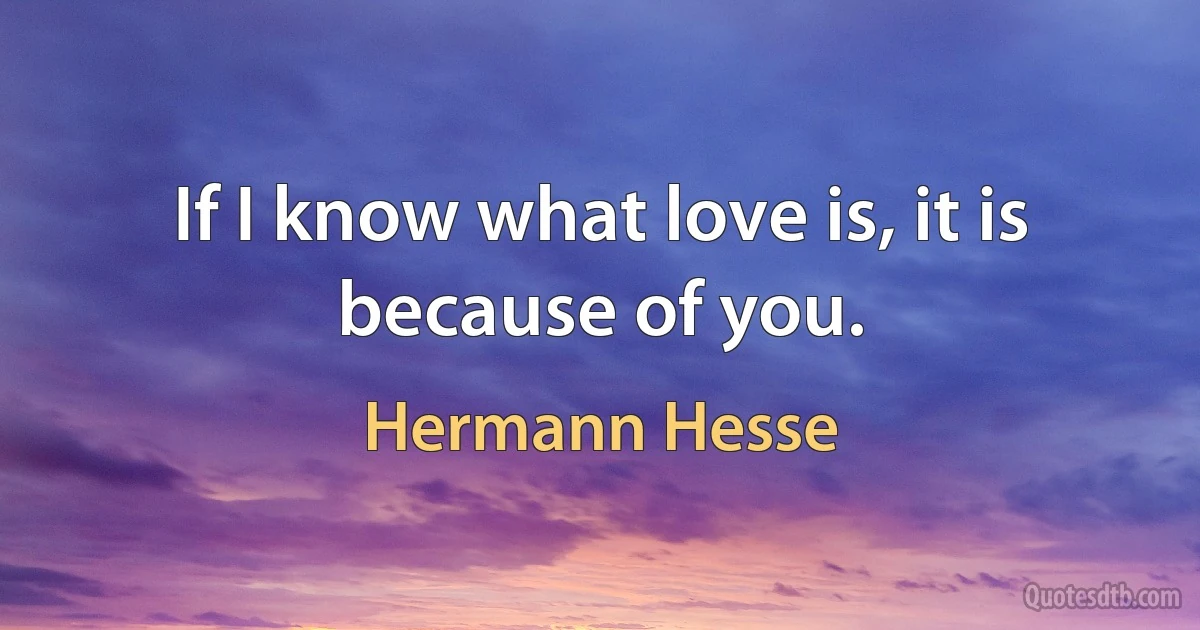 If I know what love is, it is because of you. (Hermann Hesse)