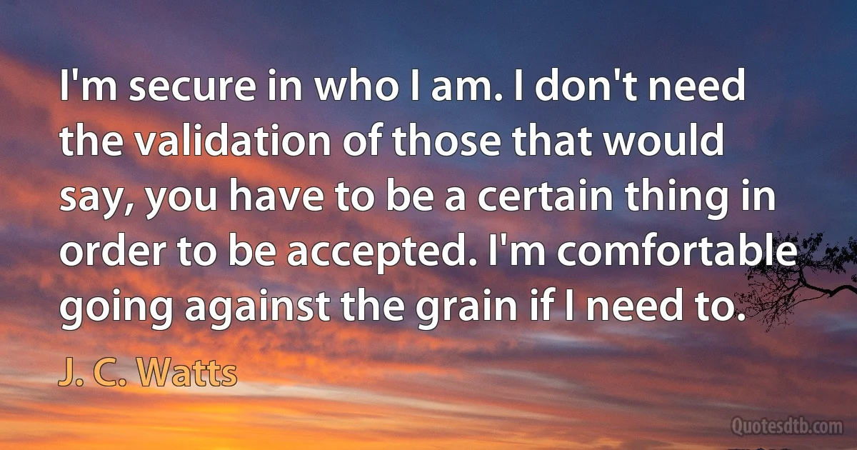 I'm secure in who I am. I don't need the validation of those that would say, you have to be a certain thing in order to be accepted. I'm comfortable going against the grain if I need to. (J. C. Watts)