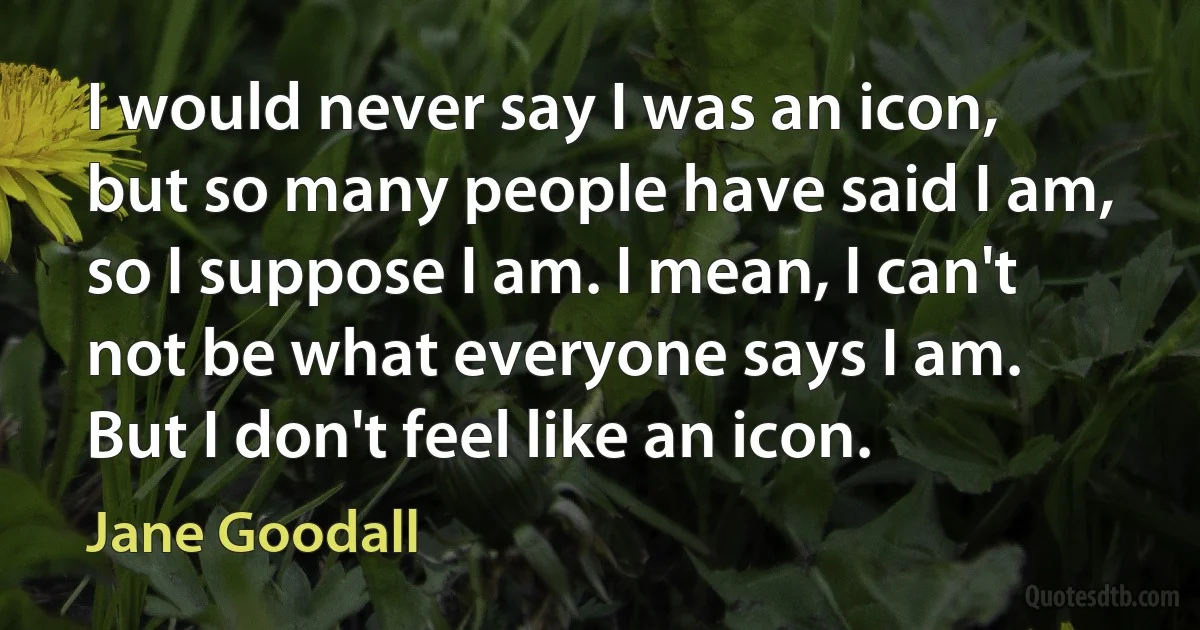 I would never say I was an icon, but so many people have said I am, so I suppose I am. I mean, I can't not be what everyone says I am. But I don't feel like an icon. (Jane Goodall)