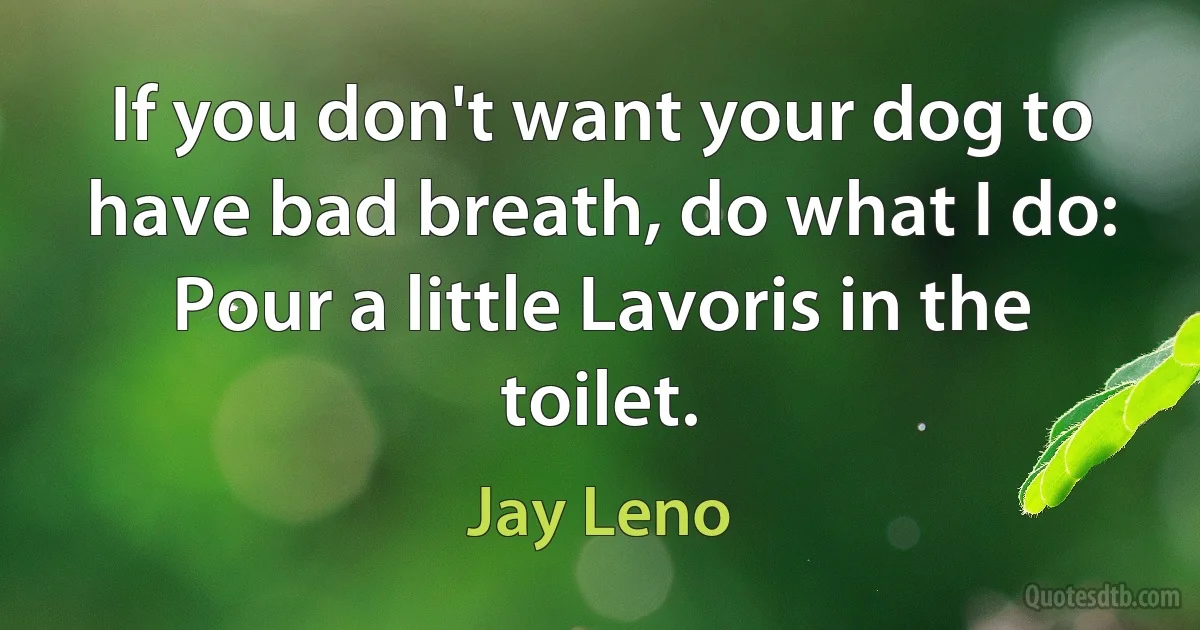 If you don't want your dog to have bad breath, do what I do: Pour a little Lavoris in the toilet. (Jay Leno)