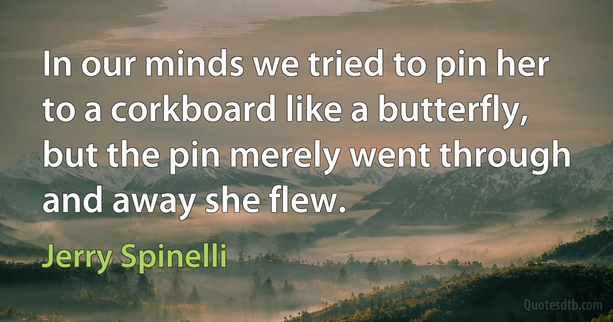 In our minds we tried to pin her to a corkboard like a butterfly, but the pin merely went through and away she flew. (Jerry Spinelli)