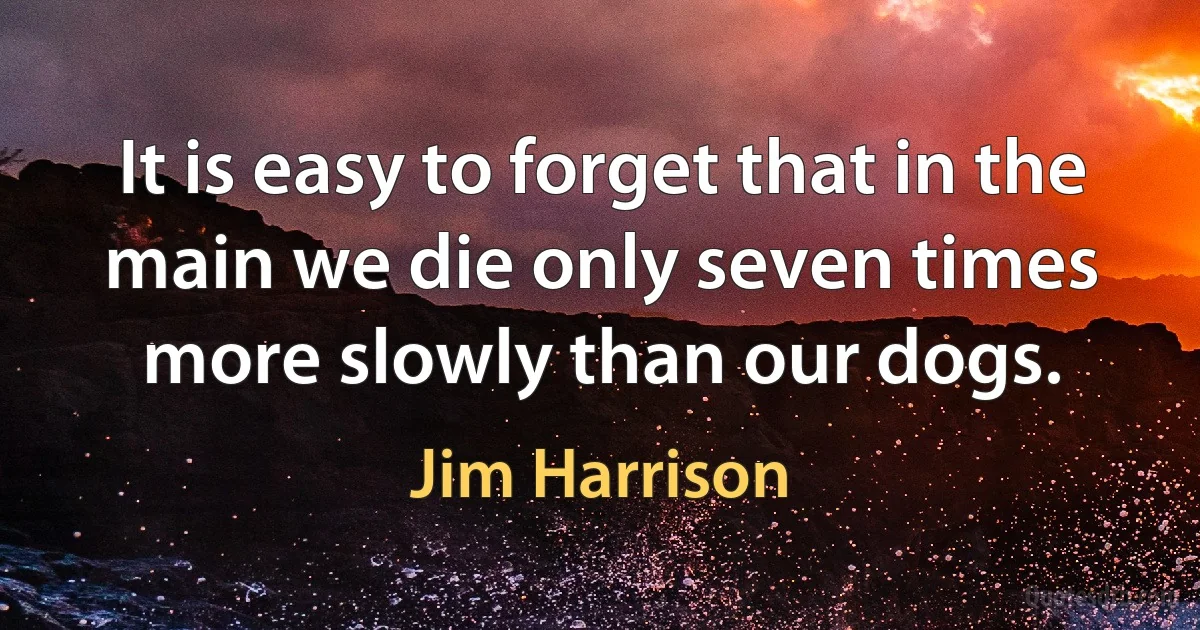 It is easy to forget that in the main we die only seven times more slowly than our dogs. (Jim Harrison)