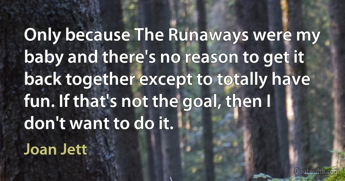 Only because The Runaways were my baby and there's no reason to get it back together except to totally have fun. If that's not the goal, then I don't want to do it. (Joan Jett)