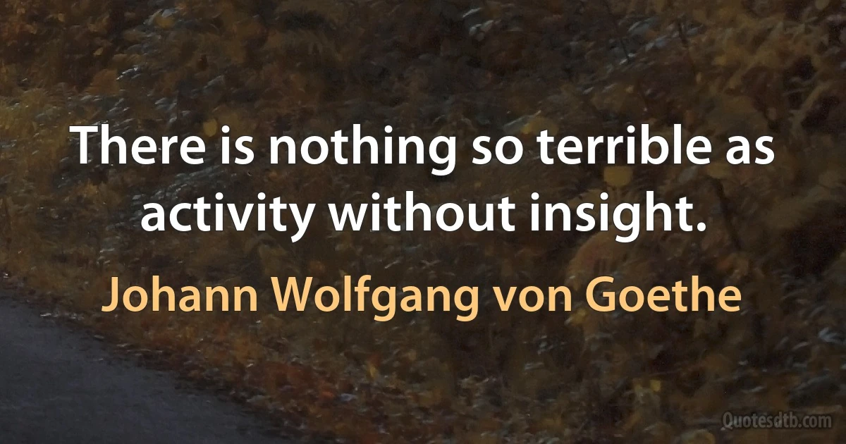 There is nothing so terrible as activity without insight. (Johann Wolfgang von Goethe)