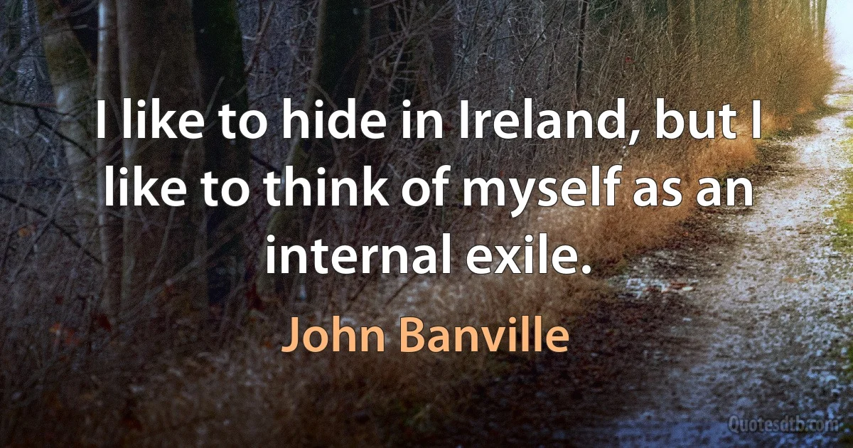 I like to hide in Ireland, but I like to think of myself as an internal exile. (John Banville)