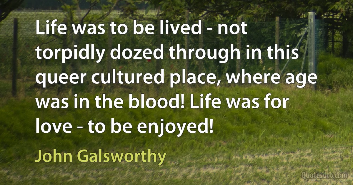 Life was to be lived - not torpidly dozed through in this queer cultured place, where age was in the blood! Life was for love - to be enjoyed! (John Galsworthy)