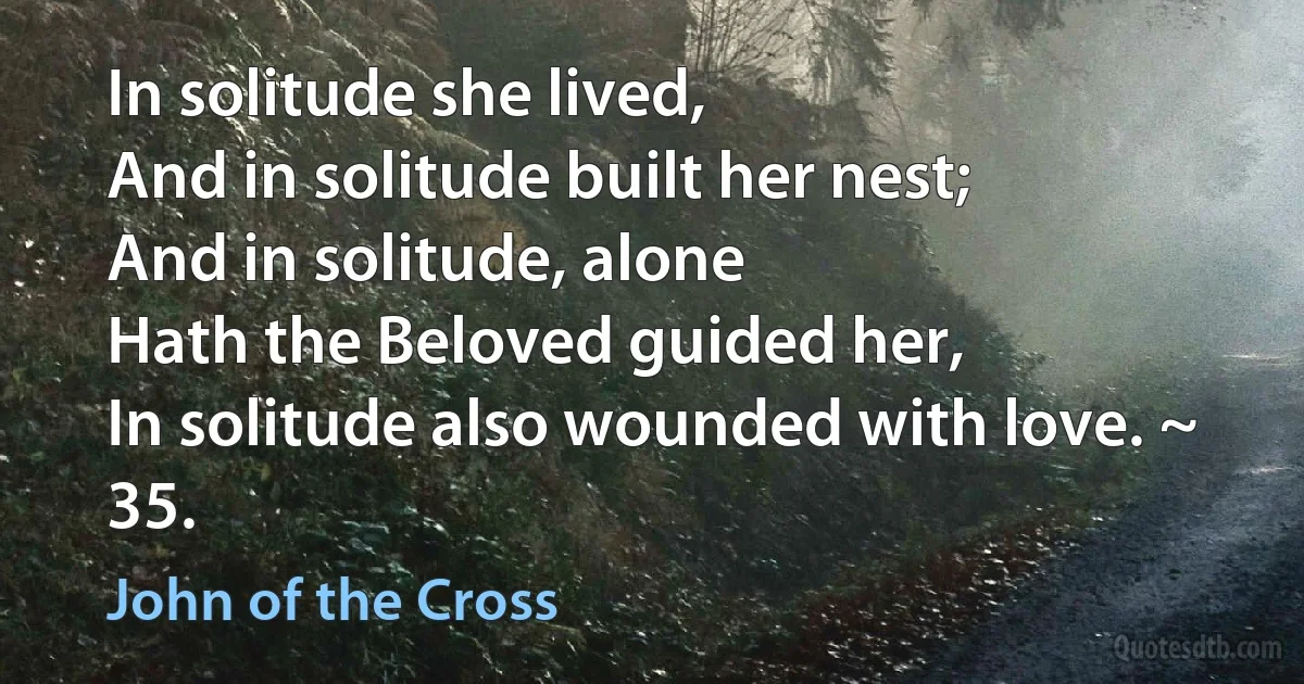 In solitude she lived,
And in solitude built her nest;
And in solitude, alone
Hath the Beloved guided her,
In solitude also wounded with love. ~ 35. (John of the Cross)