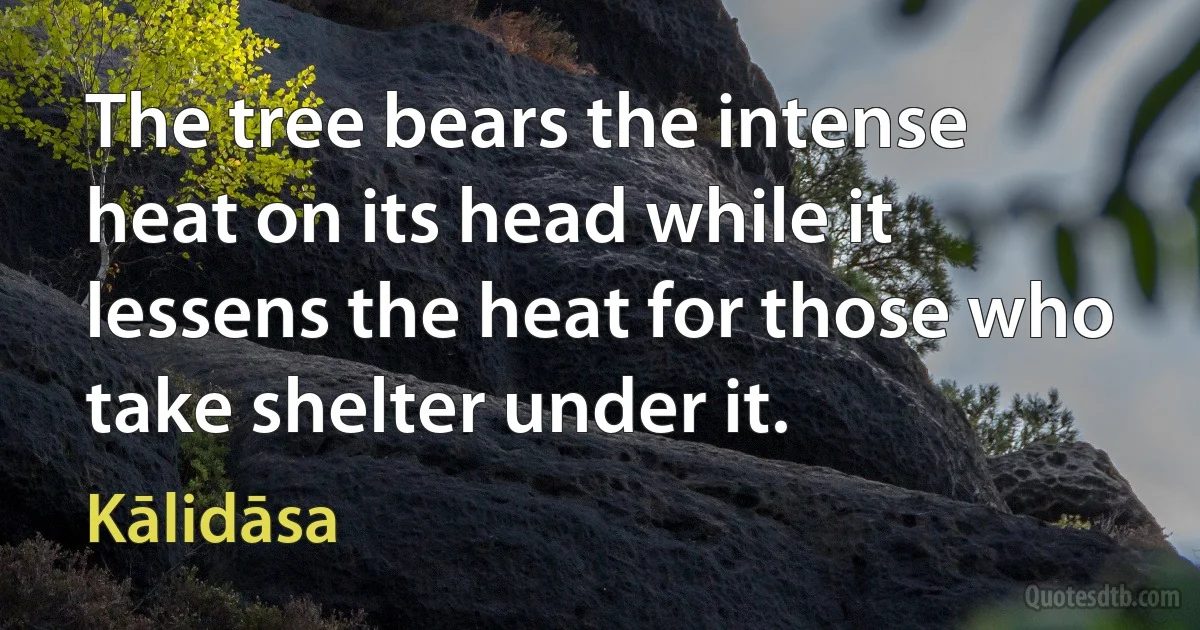 The tree bears the intense heat on its head while it lessens the heat for those who take shelter under it. (Kālidāsa)