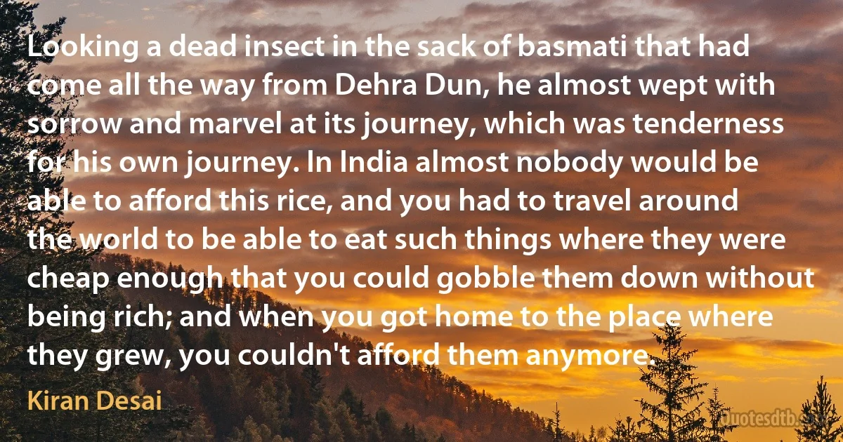 Looking a dead insect in the sack of basmati that had come all the way from Dehra Dun, he almost wept with sorrow and marvel at its journey, which was tenderness for his own journey. In India almost nobody would be able to afford this rice, and you had to travel around the world to be able to eat such things where they were cheap enough that you could gobble them down without being rich; and when you got home to the place where they grew, you couldn't afford them anymore. (Kiran Desai)