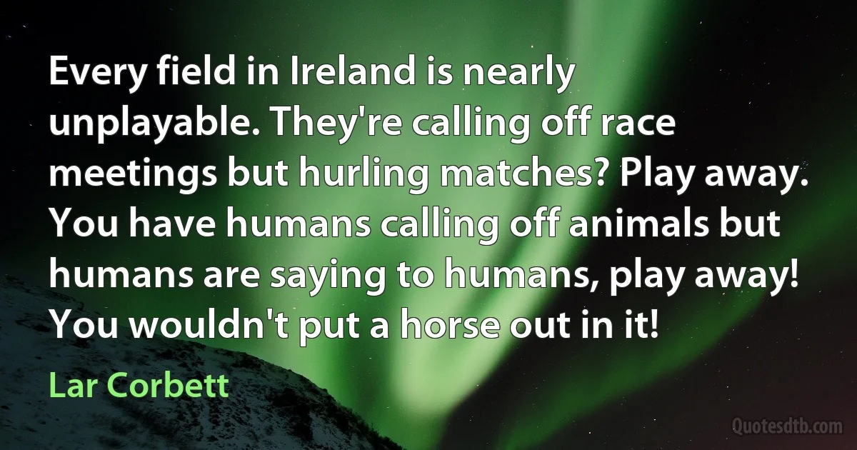 Every field in Ireland is nearly unplayable. They're calling off race meetings but hurling matches? Play away. You have humans calling off animals but humans are saying to humans, play away! You wouldn't put a horse out in it! (Lar Corbett)