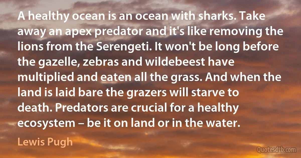 A healthy ocean is an ocean with sharks. Take away an apex predator and it's like removing the lions from the Serengeti. It won't be long before the gazelle, zebras and wildebeest have multiplied and eaten all the grass. And when the land is laid bare the grazers will starve to death. Predators are crucial for a healthy ecosystem – be it on land or in the water. (Lewis Pugh)