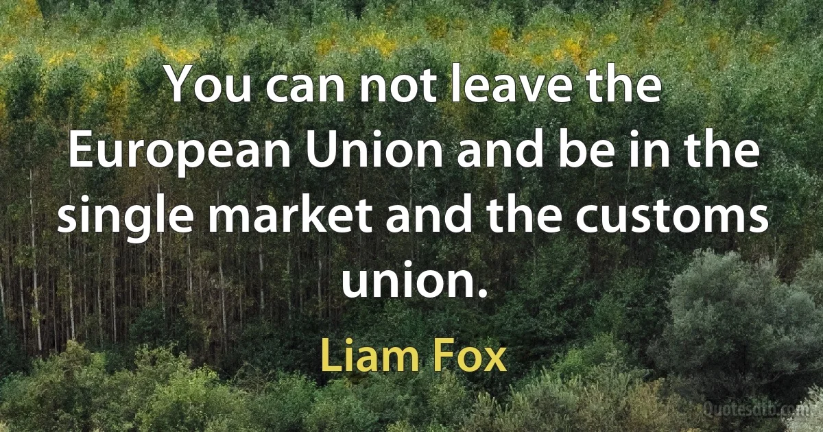 You can not leave the European Union and be in the single market and the customs union. (Liam Fox)