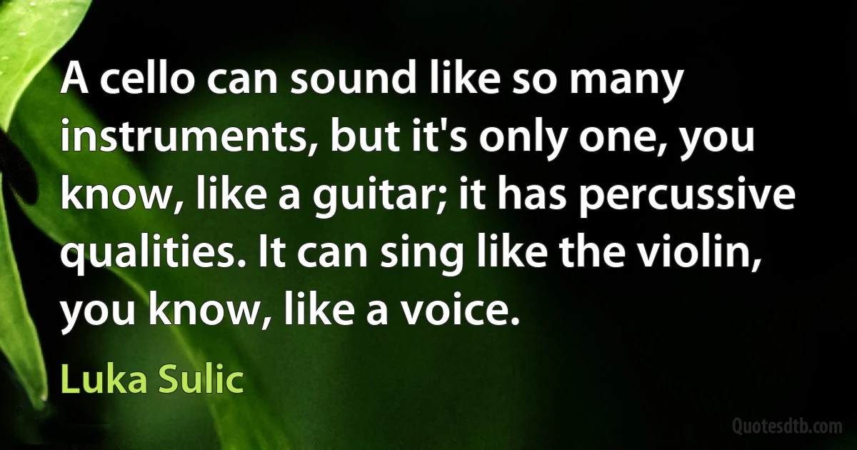 A cello can sound like so many instruments, but it's only one, you know, like a guitar; it has percussive qualities. It can sing like the violin, you know, like a voice. (Luka Sulic)