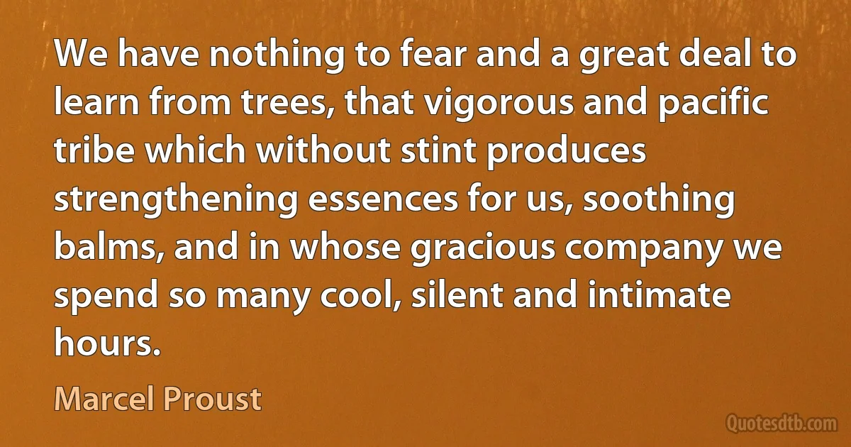 We have nothing to fear and a great deal to learn from trees, that vigorous and pacific tribe which without stint produces strengthening essences for us, soothing balms, and in whose gracious company we spend so many cool, silent and intimate hours. (Marcel Proust)