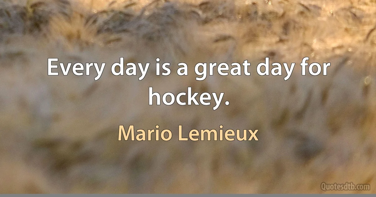 Every day is a great day for hockey. (Mario Lemieux)