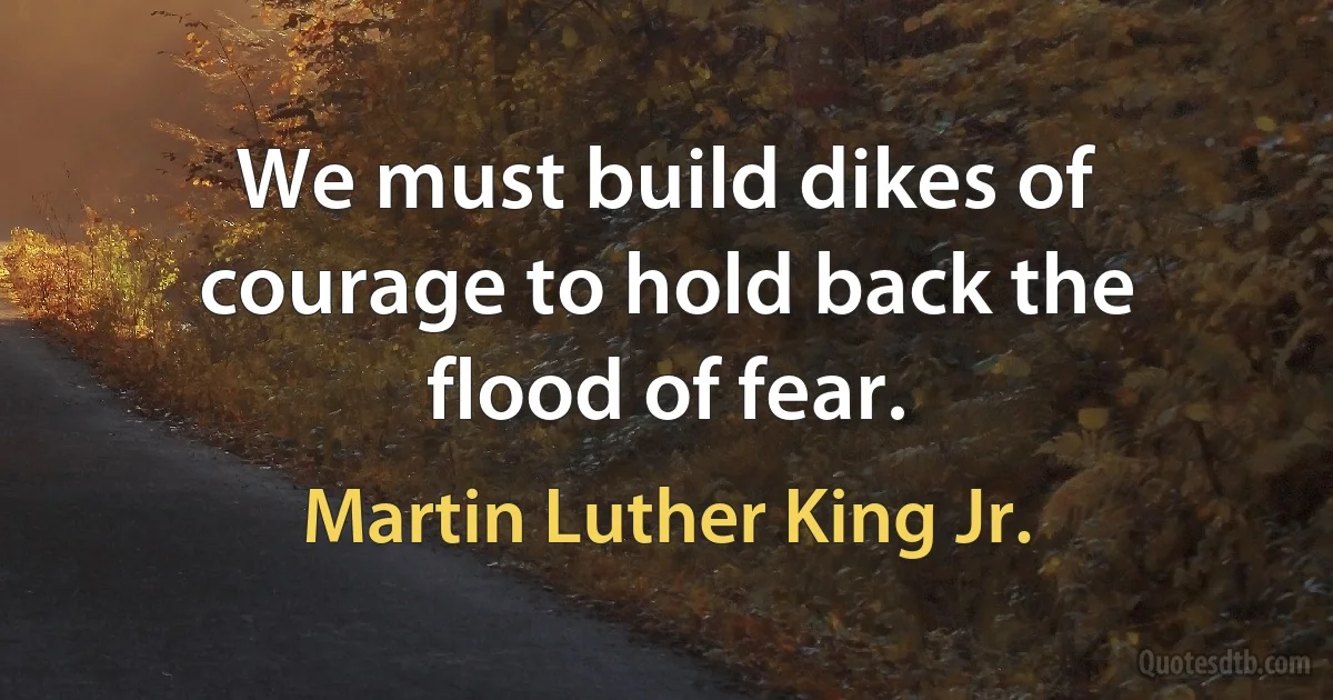 We must build dikes of courage to hold back the flood of fear. (Martin Luther King Jr.)