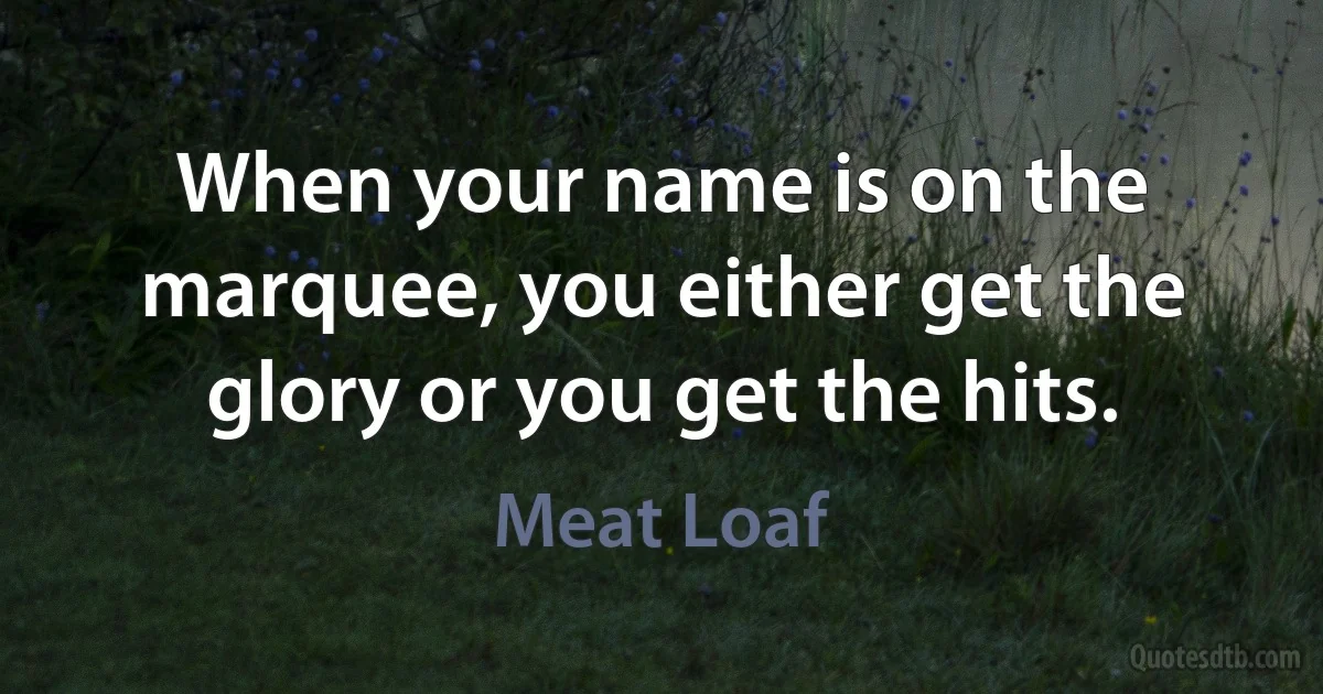 When your name is on the marquee, you either get the glory or you get the hits. (Meat Loaf)