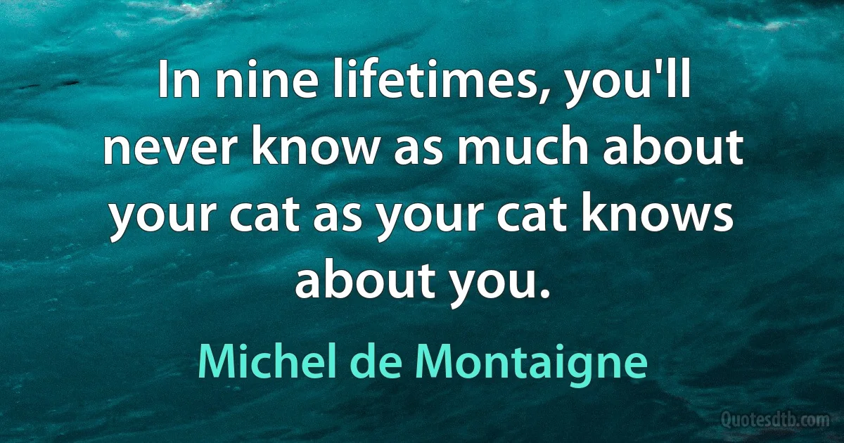 In nine lifetimes, you'll never know as much about your cat as your cat knows about you. (Michel de Montaigne)