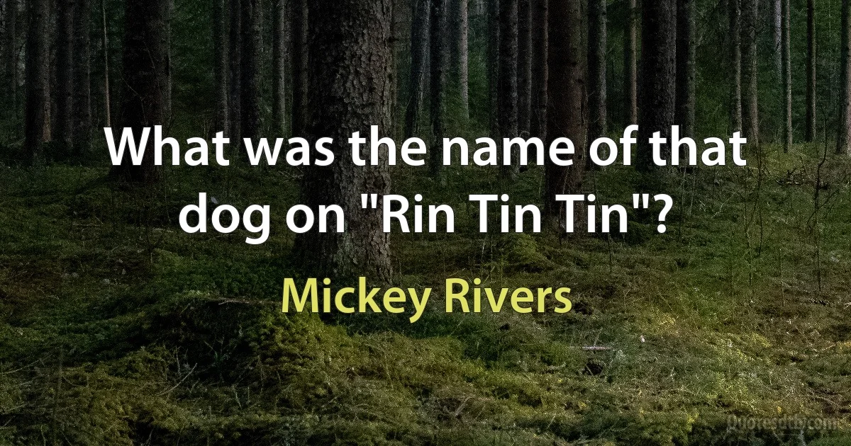 What was the name of that dog on "Rin Tin Tin"? (Mickey Rivers)