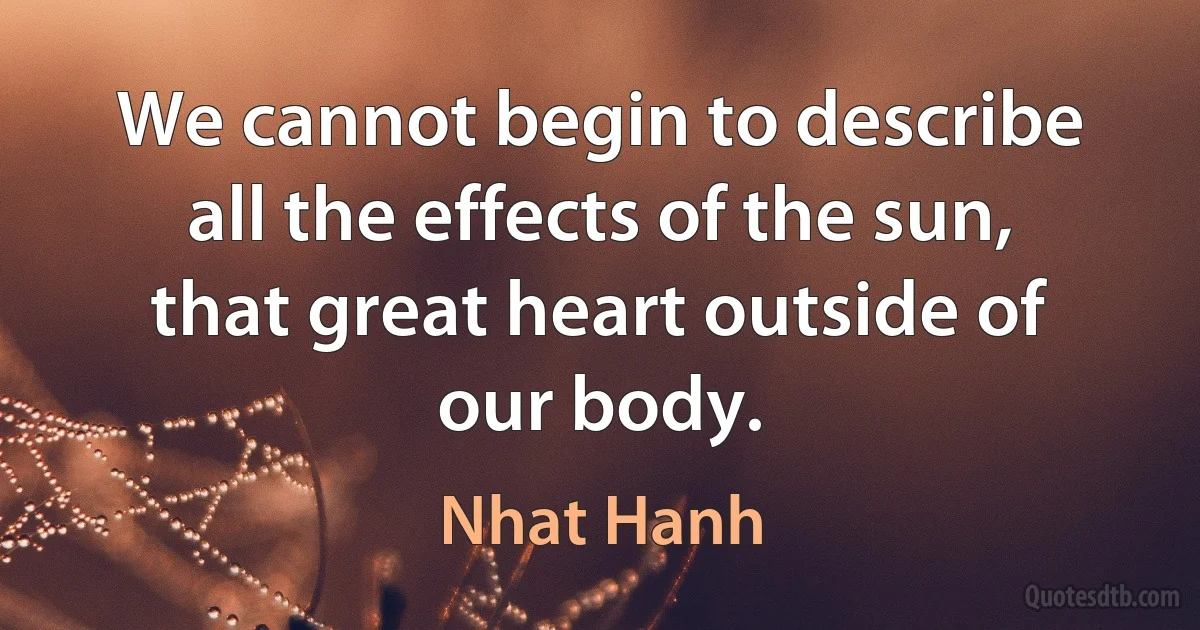 We cannot begin to describe all the effects of the sun, that great heart outside of our body. (Nhat Hanh)