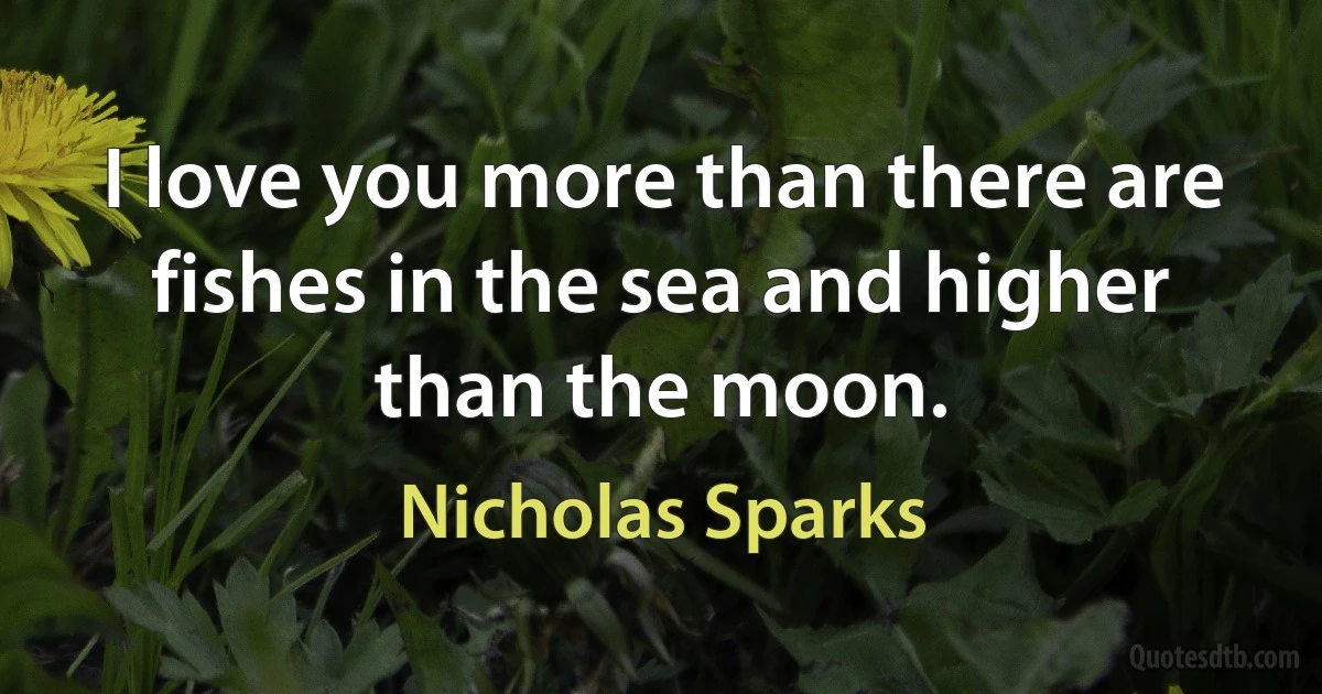 I love you more than there are fishes in the sea and higher than the moon. (Nicholas Sparks)