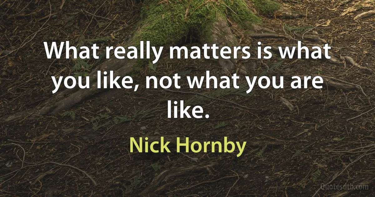 What really matters is what you like, not what you are like. (Nick Hornby)