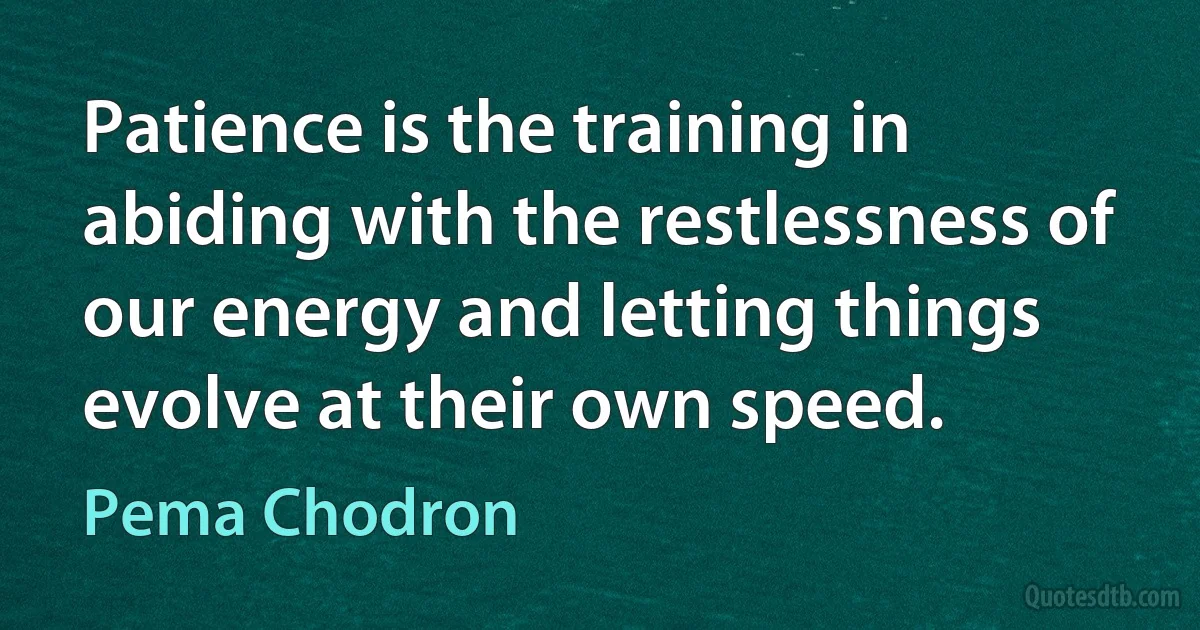 Patience is the training in abiding with the restlessness of our energy and letting things evolve at their own speed. (Pema Chodron)