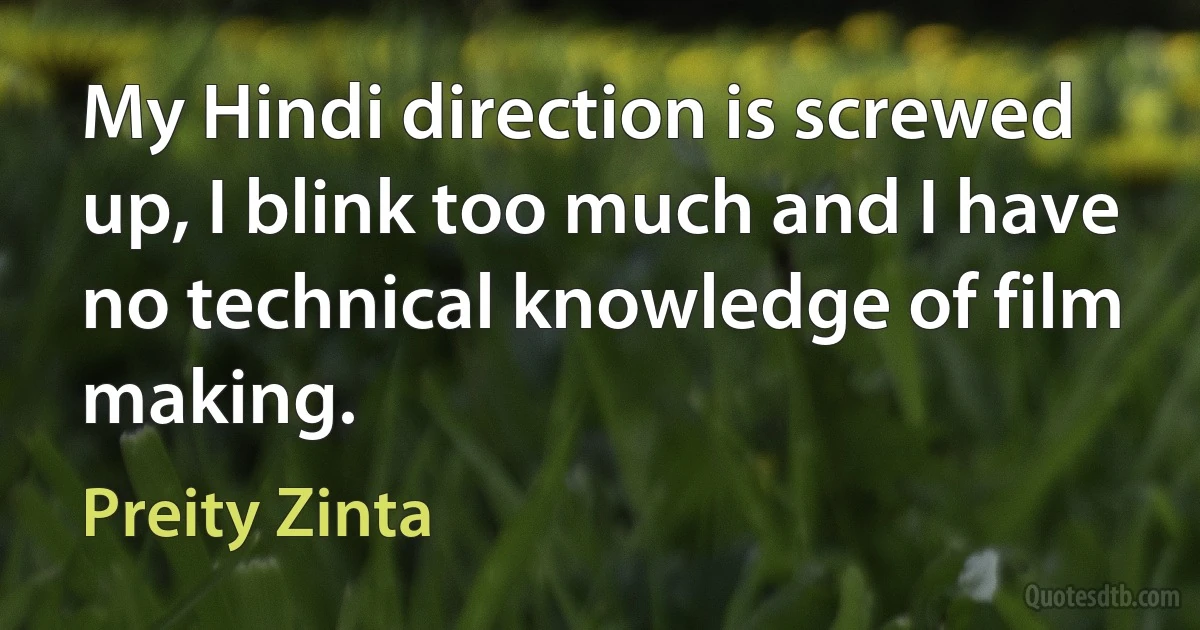 My Hindi direction is screwed up, I blink too much and I have no technical knowledge of film making. (Preity Zinta)