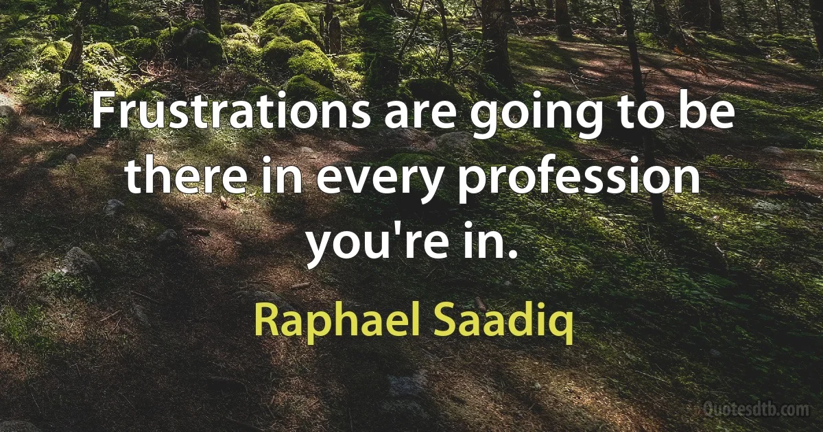 Frustrations are going to be there in every profession you're in. (Raphael Saadiq)