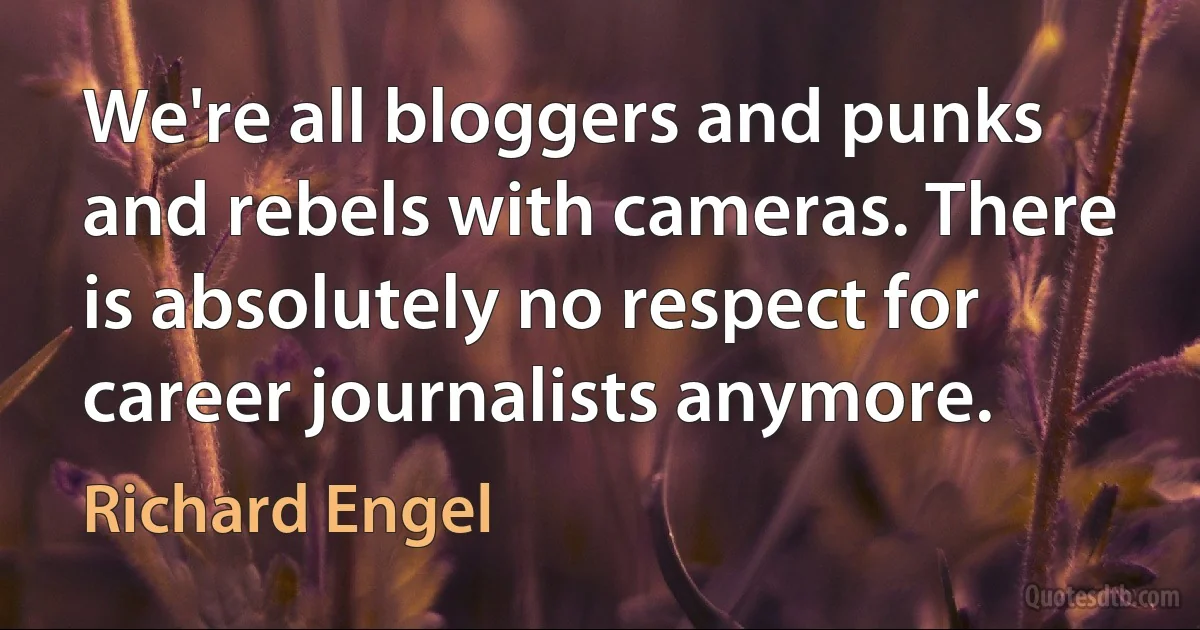 We're all bloggers and punks and rebels with cameras. There is absolutely no respect for career journalists anymore. (Richard Engel)