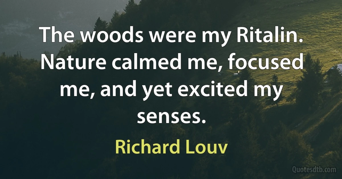 The woods were my Ritalin. Nature calmed me, focused me, and yet excited my senses. (Richard Louv)