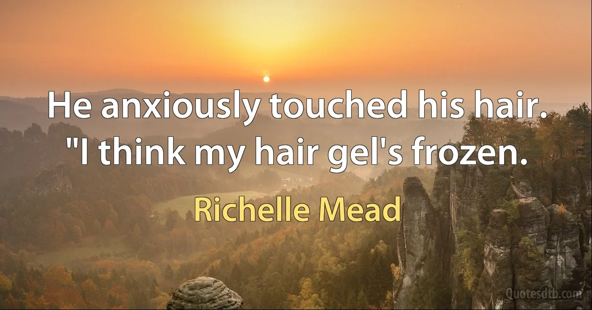 He anxiously touched his hair. "I think my hair gel's frozen. (Richelle Mead)