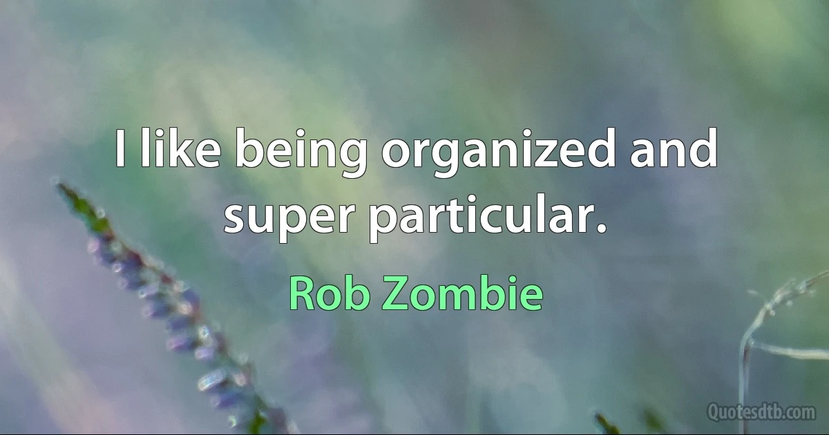 I like being organized and super particular. (Rob Zombie)