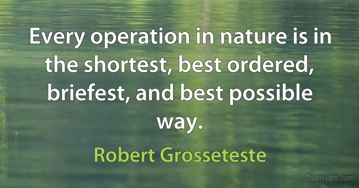 Every operation in nature is in the shortest, best ordered, briefest, and best possible way. (Robert Grosseteste)