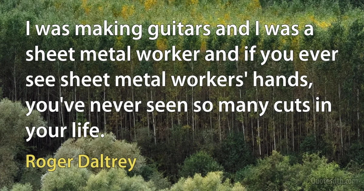 I was making guitars and I was a sheet metal worker and if you ever see sheet metal workers' hands, you've never seen so many cuts in your life. (Roger Daltrey)