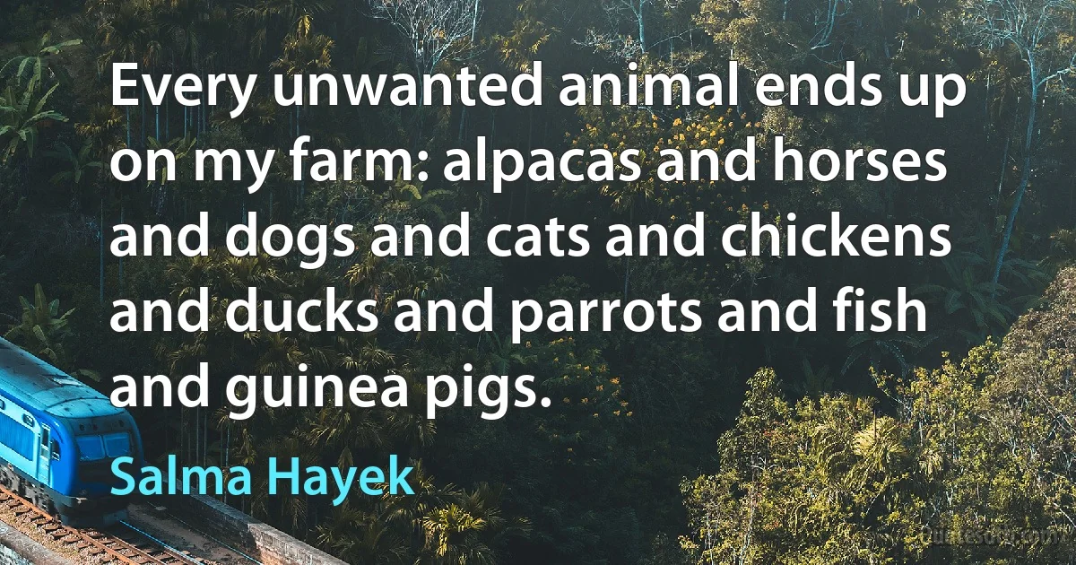 Every unwanted animal ends up on my farm: alpacas and horses and dogs and cats and chickens and ducks and parrots and fish and guinea pigs. (Salma Hayek)