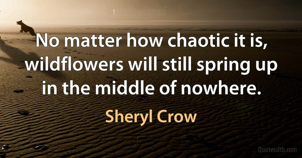 No matter how chaotic it is, wildflowers will still spring up in the middle of nowhere. (Sheryl Crow)