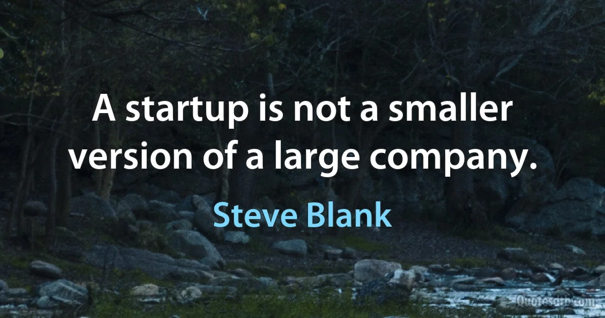 A startup is not a smaller version of a large company. (Steve Blank)