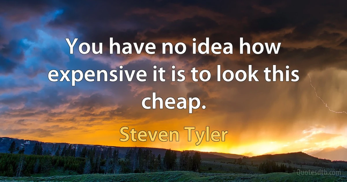 You have no idea how expensive it is to look this cheap. (Steven Tyler)