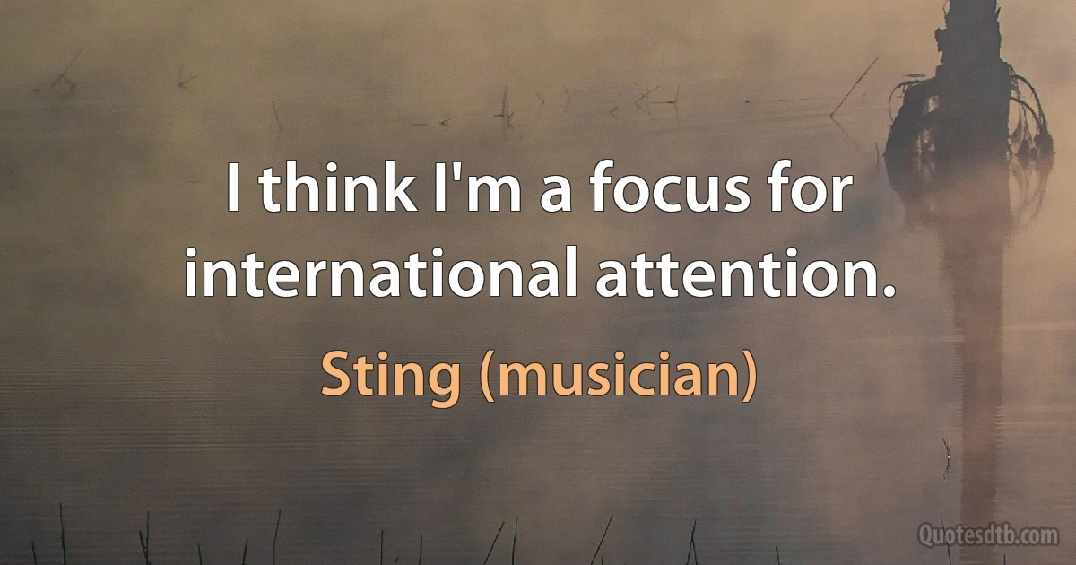 I think I'm a focus for international attention. (Sting (musician))