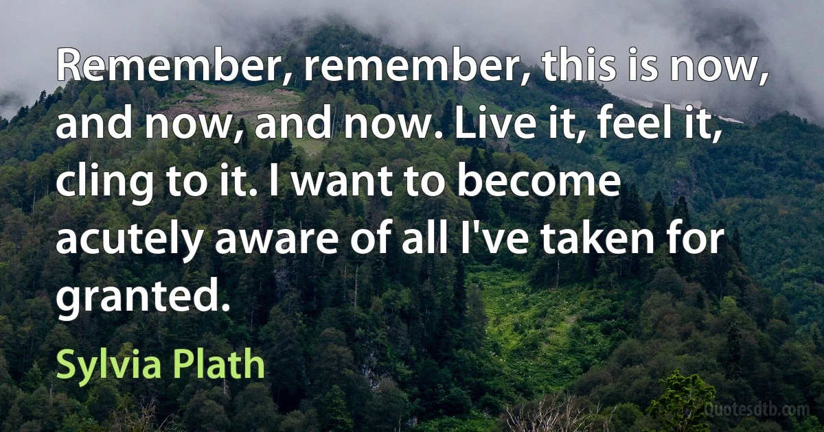 Remember, remember, this is now, and now, and now. Live it, feel it, cling to it. I want to become acutely aware of all I've taken for granted. (Sylvia Plath)