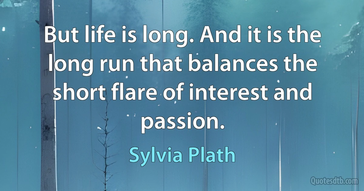 But life is long. And it is the long run that balances the short flare of interest and passion. (Sylvia Plath)