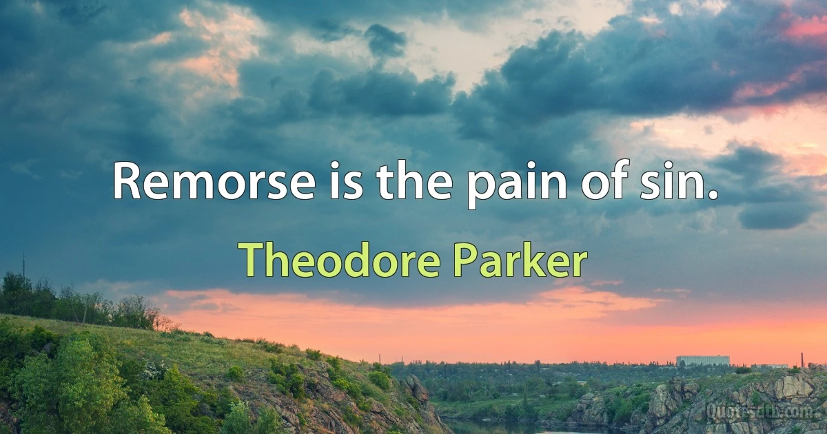 Remorse is the pain of sin. (Theodore Parker)