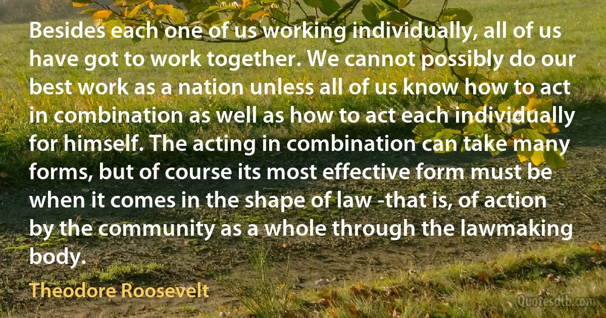 Besides each one of us working individually, all of us have got to work together. We cannot possibly do our best work as a nation unless all of us know how to act in combination as well as how to act each individually for himself. The acting in combination can take many forms, but of course its most effective form must be when it comes in the shape of law -that is, of action by the community as a whole through the lawmaking body. (Theodore Roosevelt)