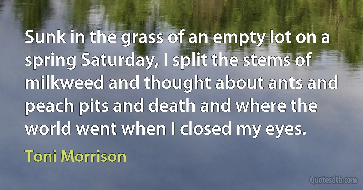 Sunk in the grass of an empty lot on a spring Saturday, I split the stems of milkweed and thought about ants and peach pits and death and where the world went when I closed my eyes. (Toni Morrison)