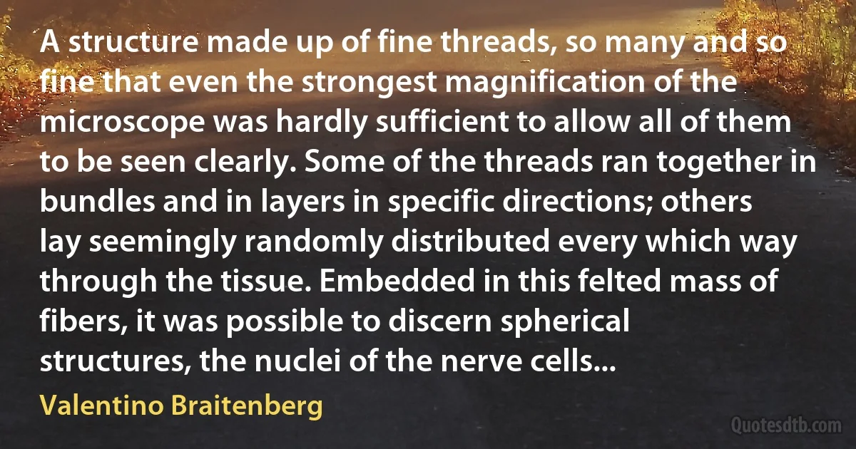 A structure made up of fine threads, so many and so fine that even the strongest magnification of the microscope was hardly sufficient to allow all of them to be seen clearly. Some of the threads ran together in bundles and in layers in specific directions; others lay seemingly randomly distributed every which way through the tissue. Embedded in this felted mass of fibers, it was possible to discern spherical structures, the nuclei of the nerve cells... (Valentino Braitenberg)