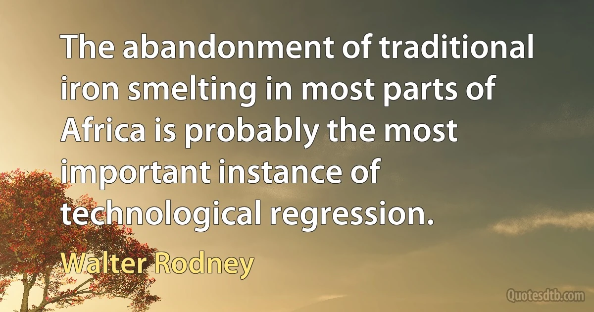 The abandonment of traditional iron smelting in most parts of Africa is probably the most important instance of technological regression. (Walter Rodney)