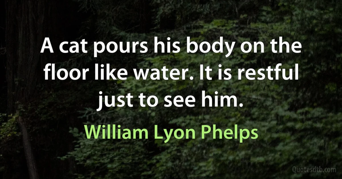 A cat pours his body on the floor like water. It is restful just to see him. (William Lyon Phelps)