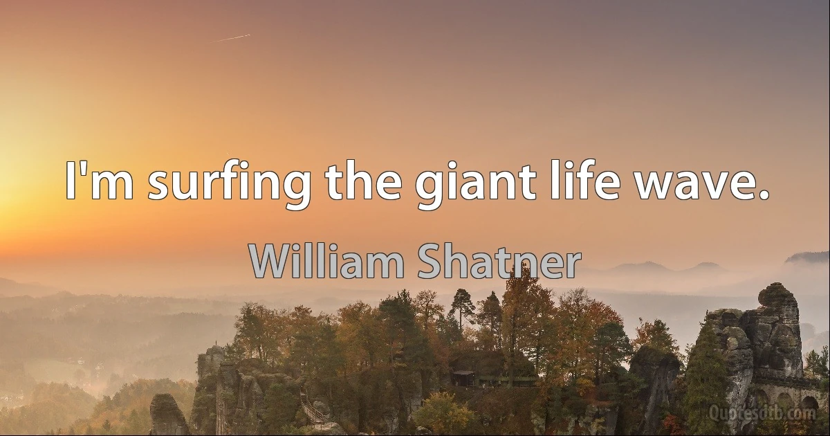 I'm surfing the giant life wave. (William Shatner)