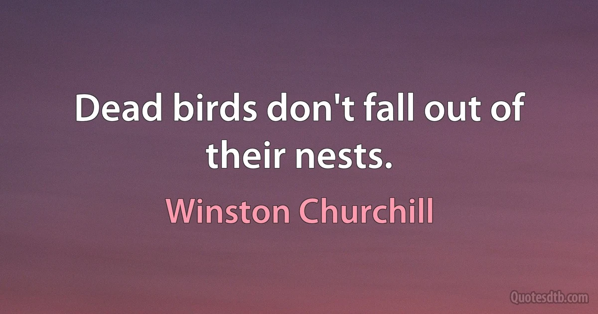 Dead birds don't fall out of their nests. (Winston Churchill)